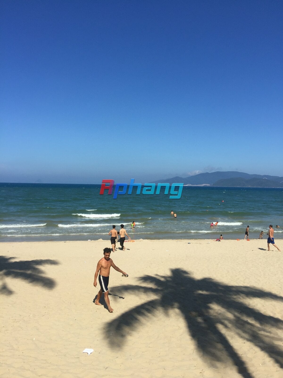 IMG_3151.jpeg