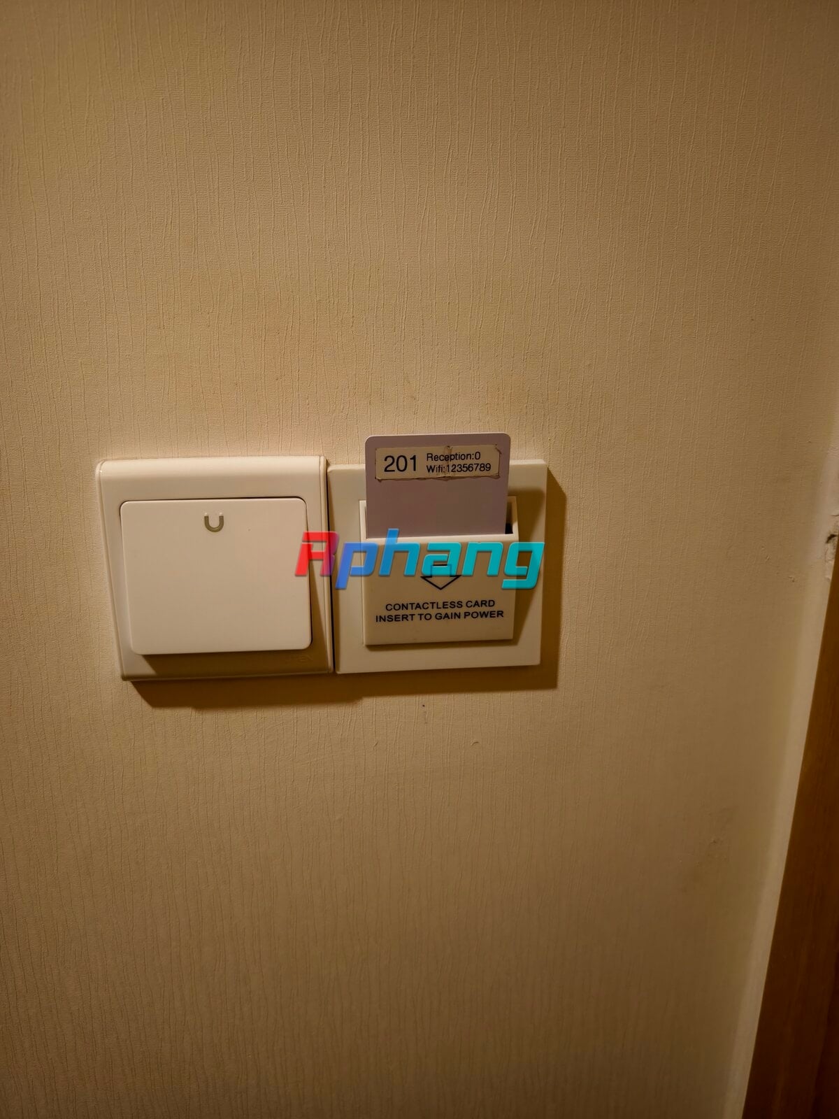 1000004828.jpg