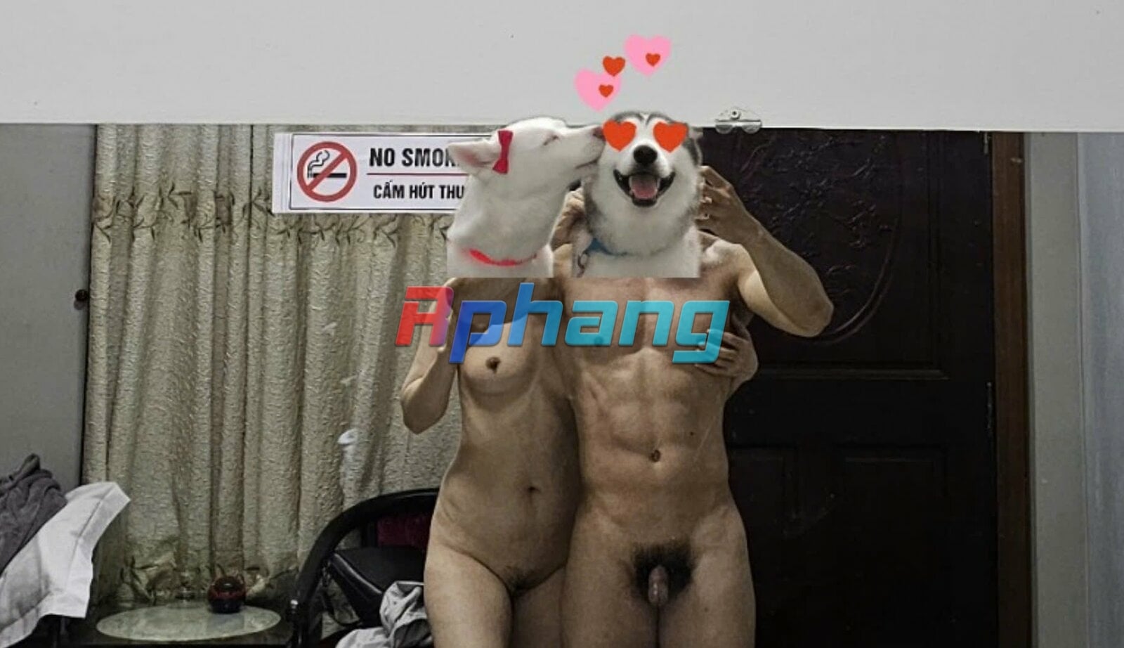 cc40a30340dbe485bdca.jpg