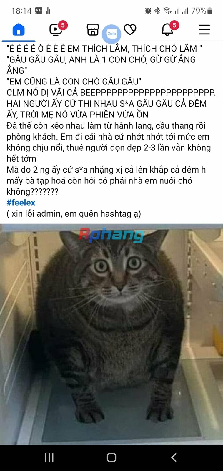 Screenshot_20240827-181455_Facebook.jpg
