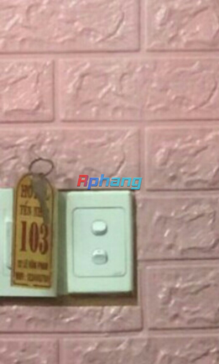 1I6C0TE5I_800OD4.jpeg