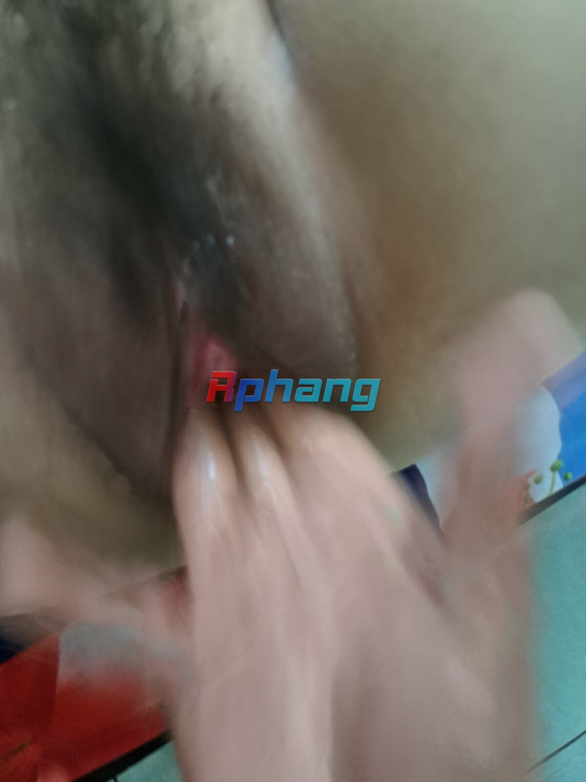 1000000243.jpg