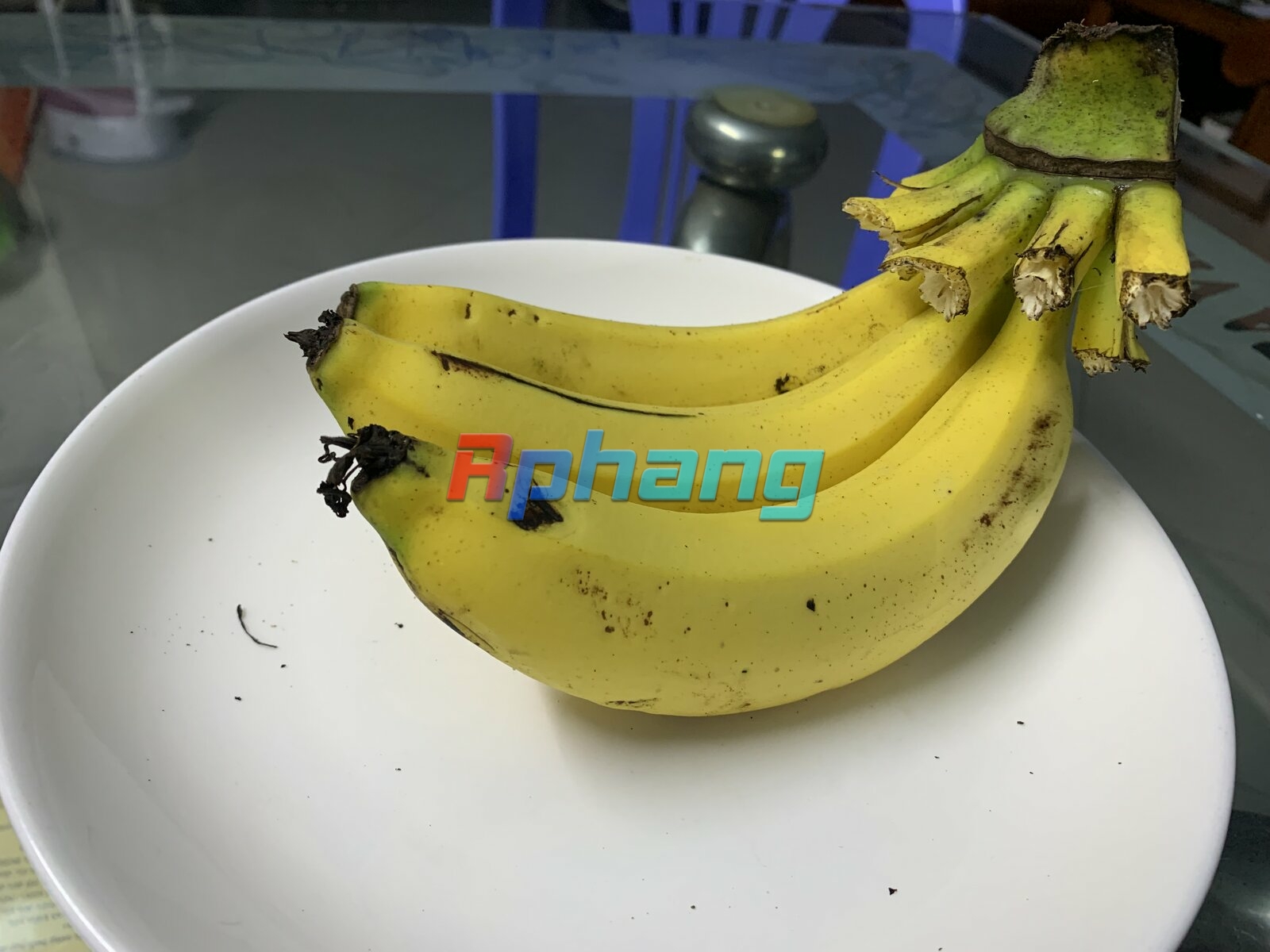 IMG_3657.jpeg