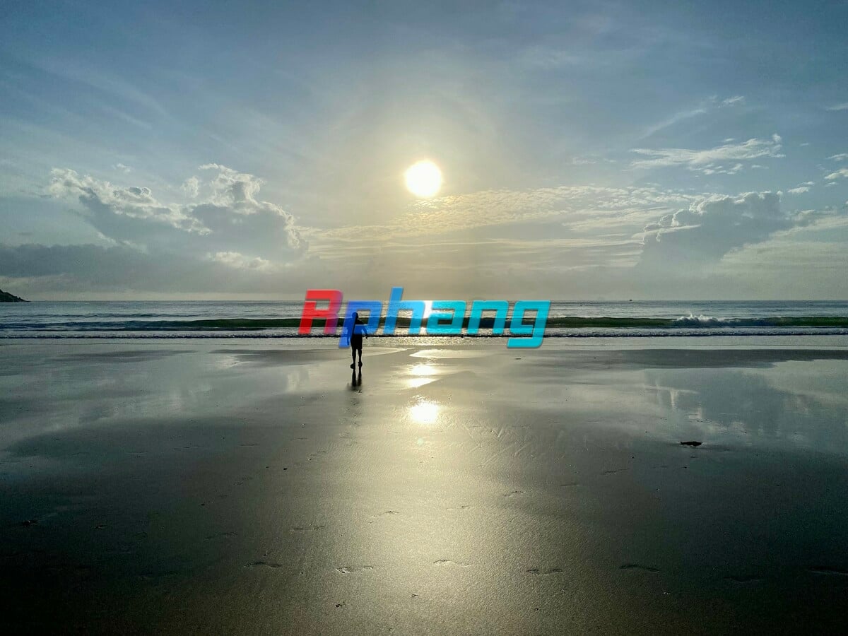 phong2295