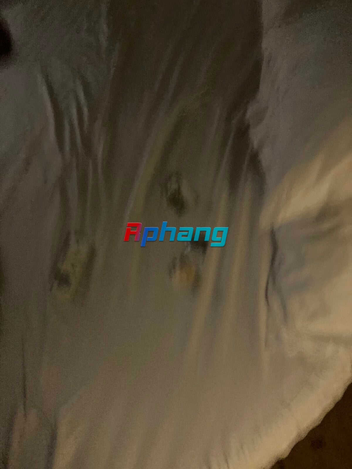 IMG_3015.jpeg