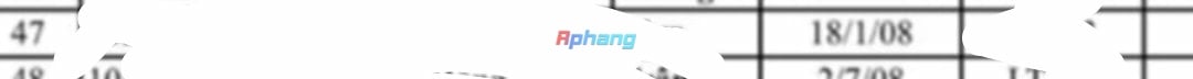 orca-image-1034192353.jpeg
