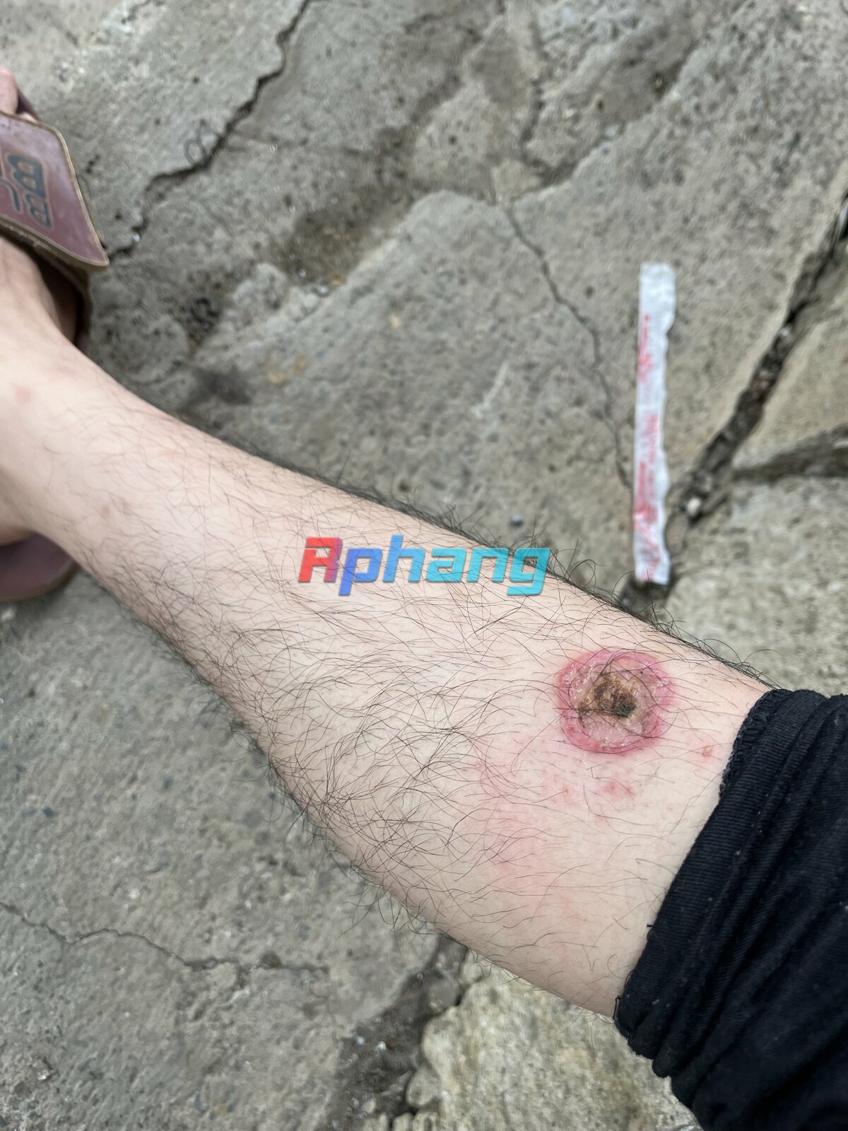 IMG_1998.jpeg