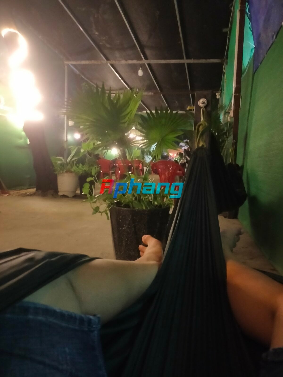 IMG20241026202424.jpg