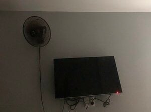 IMG_6320.jpeg
