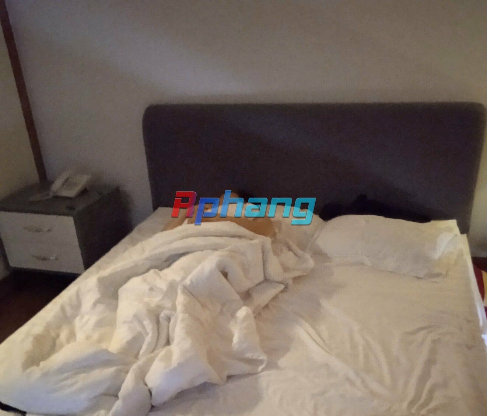9d02c2908bab36f56fba.jpg