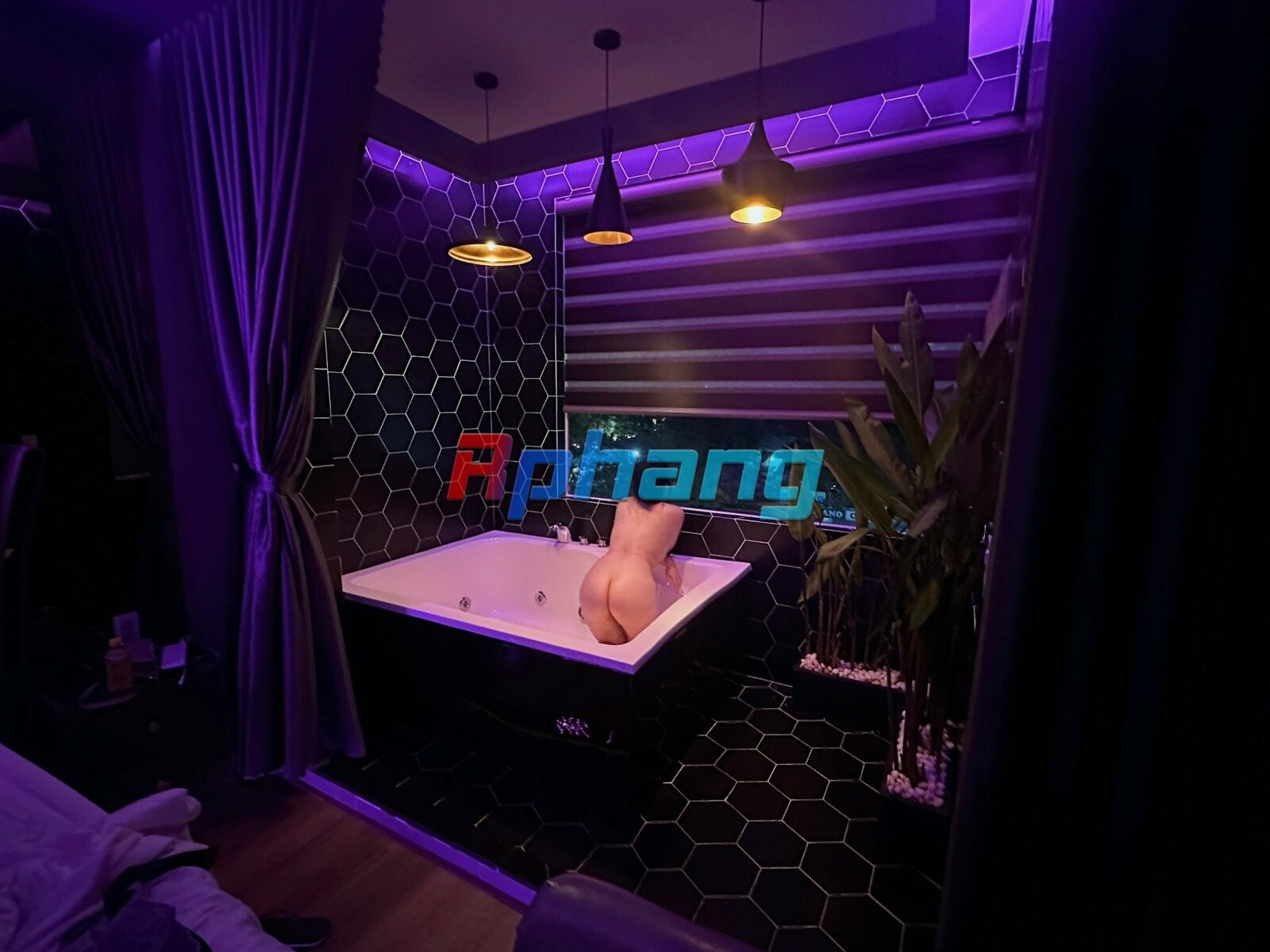 IMG_6181.jpeg
