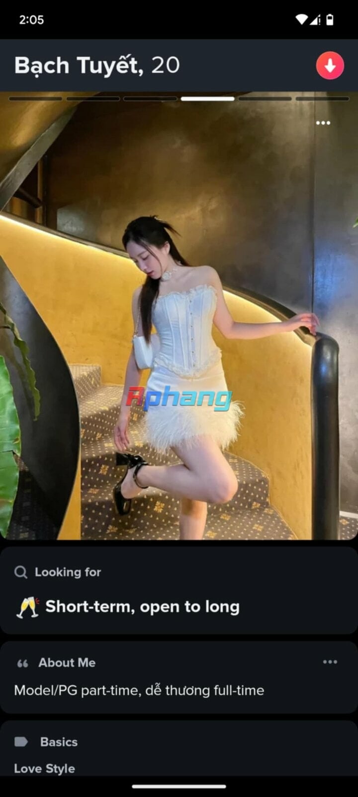 003.jpg