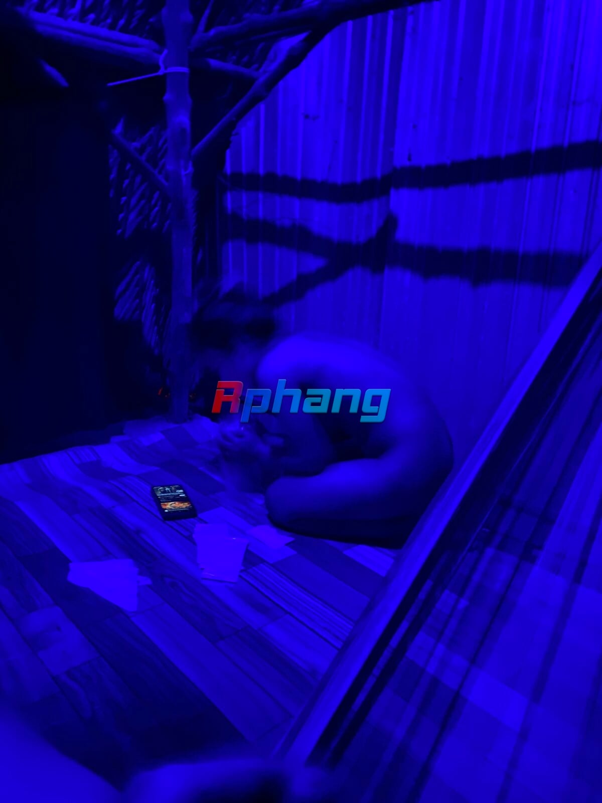 733FC008-FDD8-45E9-AD95-7412F5EC1CDE.jpeg