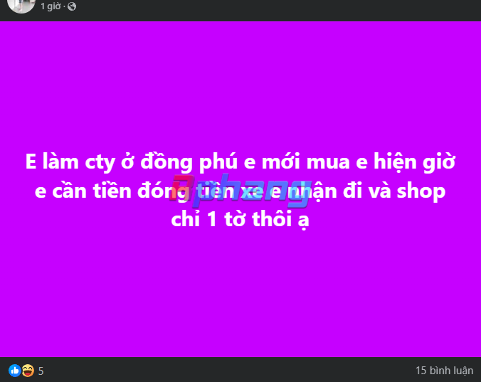 1739783047691.png