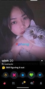w001.jpg