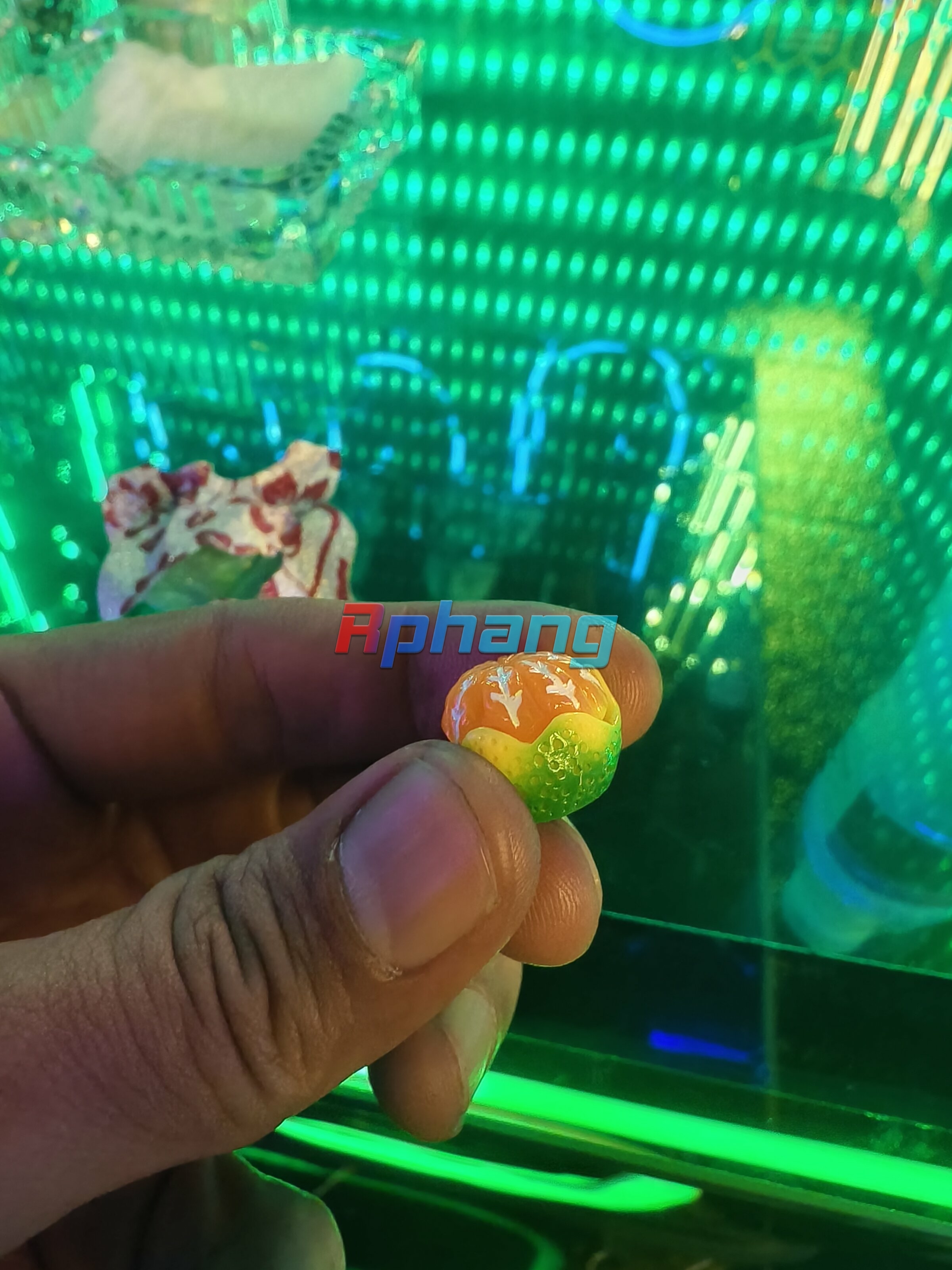 1000013717.jpg