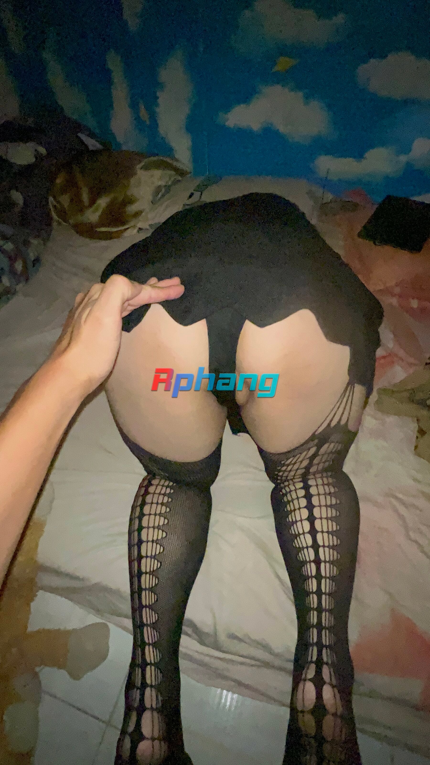 IMG_5219.jpeg