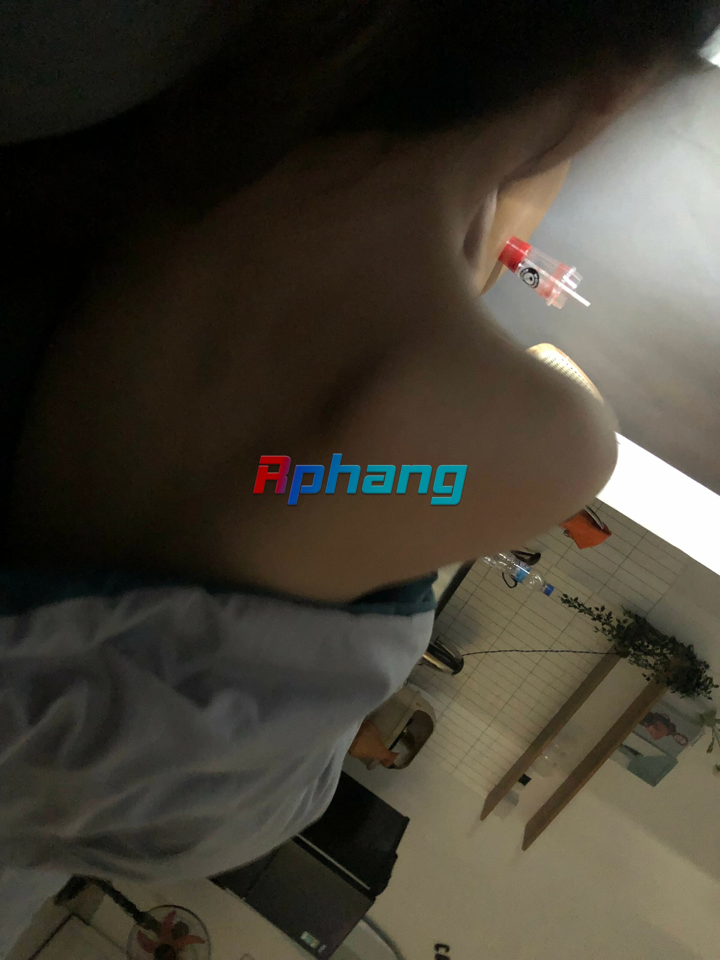 IMG_2324.jpeg