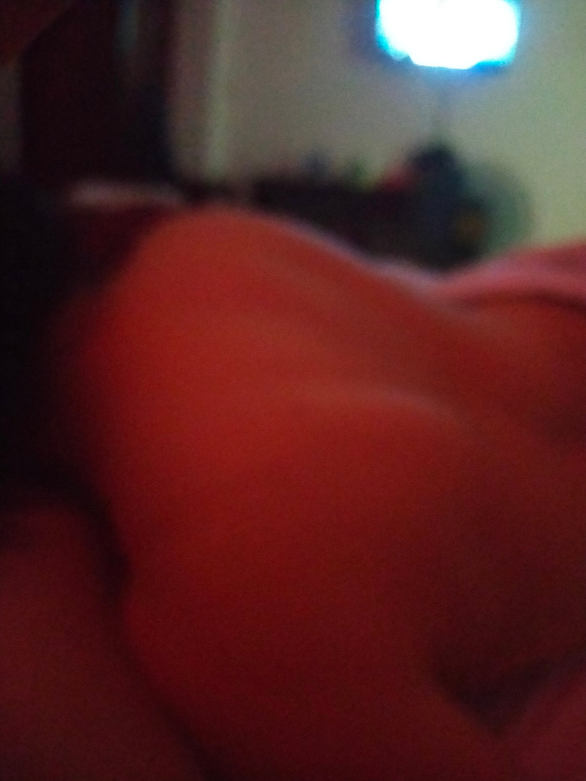 IMG20250316021948.jpg