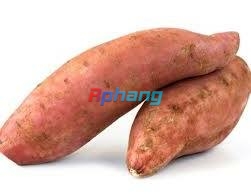 IMG_4729.jpeg