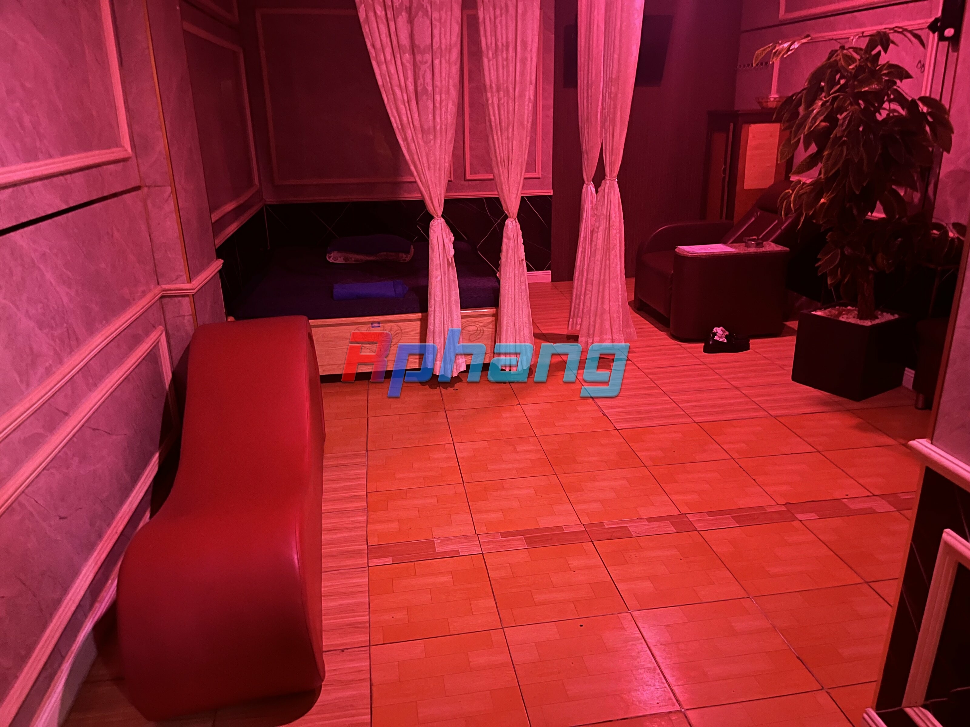 IMG_6287_Original.jpeg
