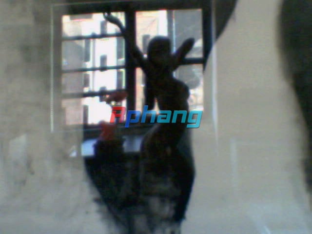 Picture11.jpg