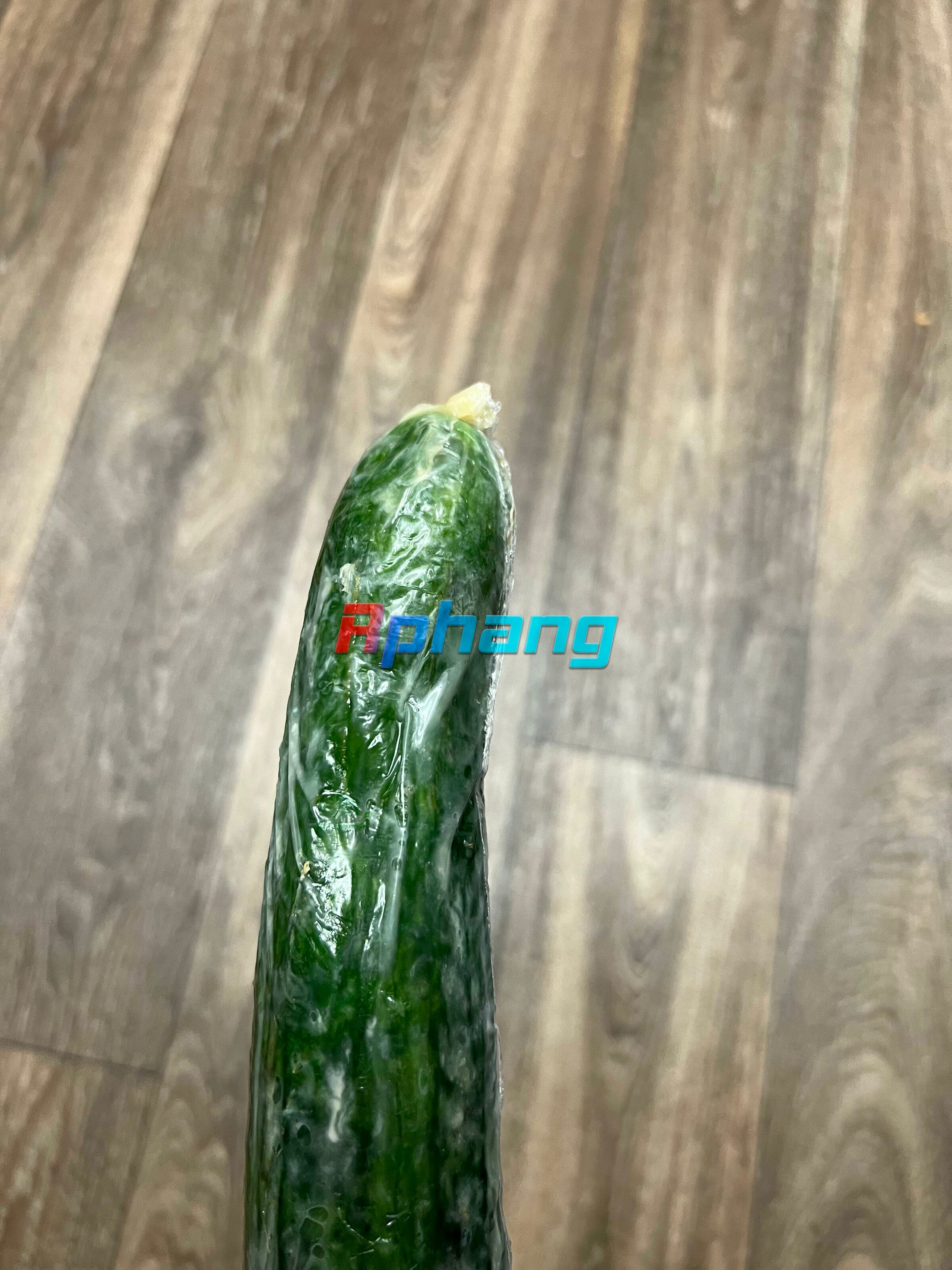 1000004034.jpg