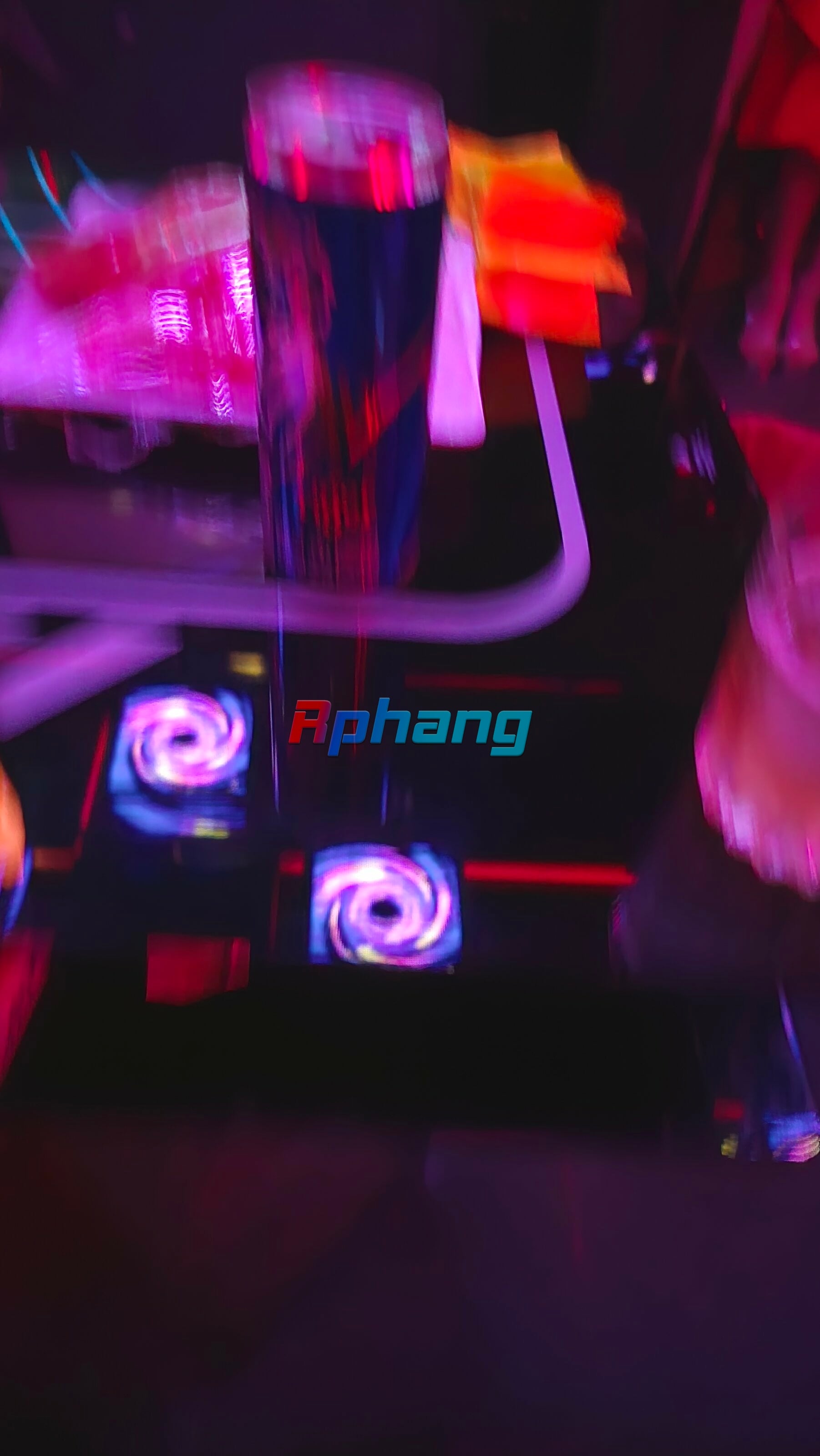 1000020674.jpg