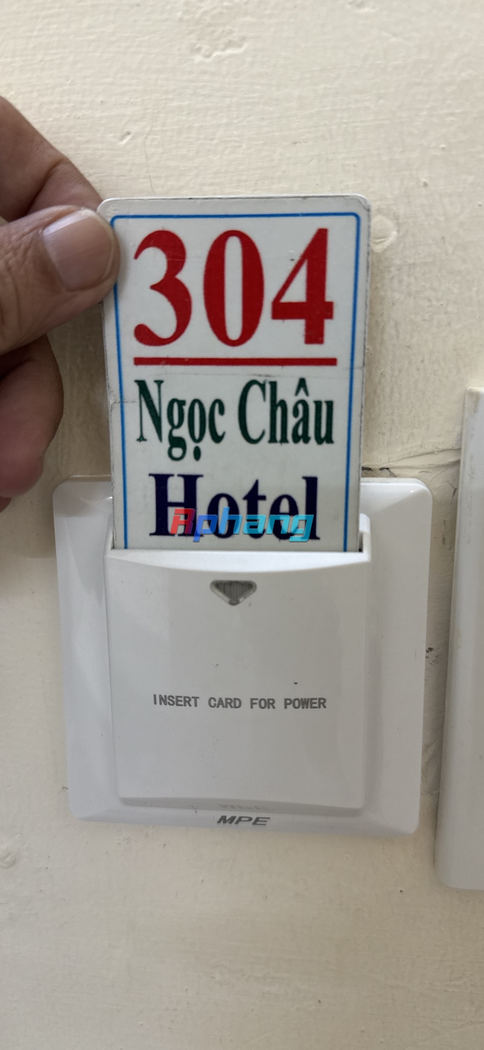 IMG_8303.jpeg