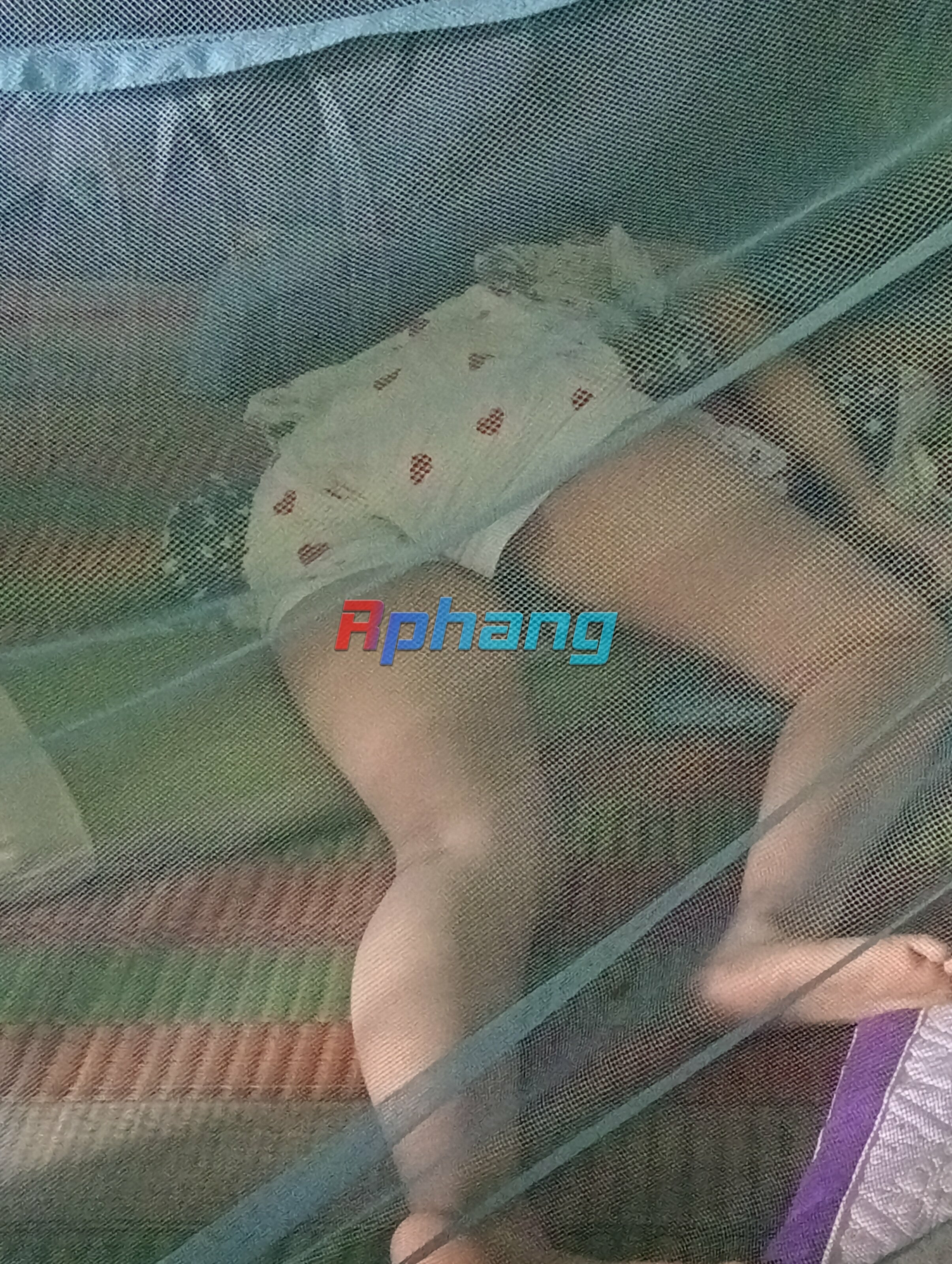 IMG20250813074418.jpg