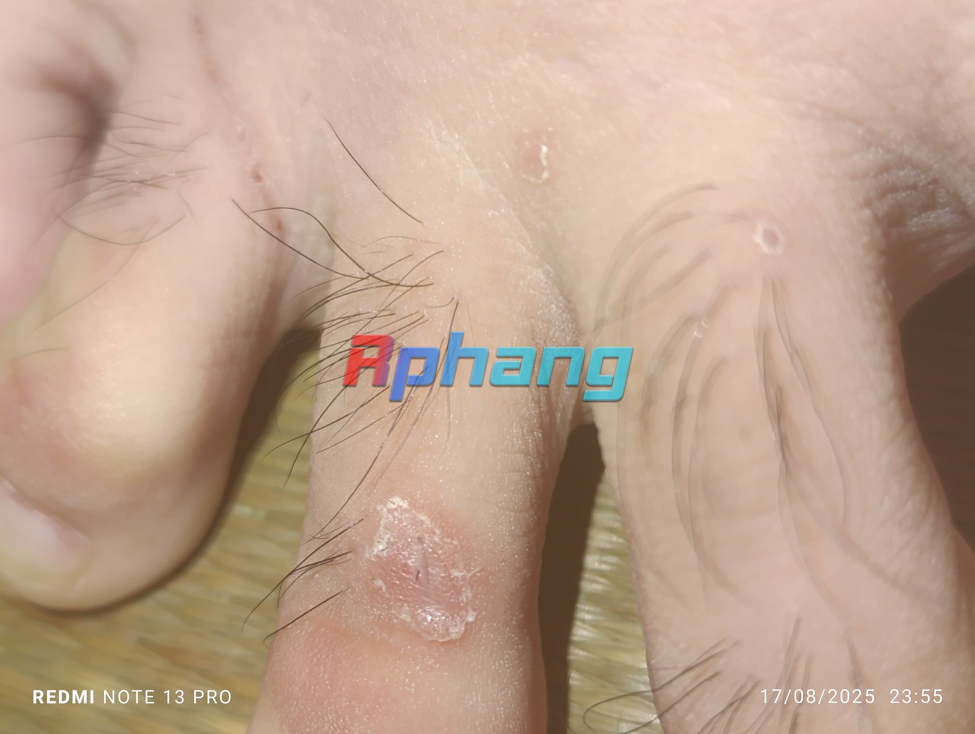 IMG_20250817_235548.jpg