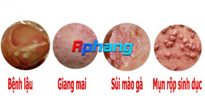 1755508555031.png