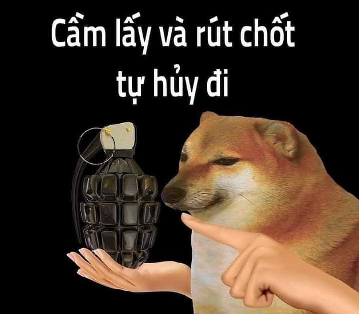 1000000317.jpg