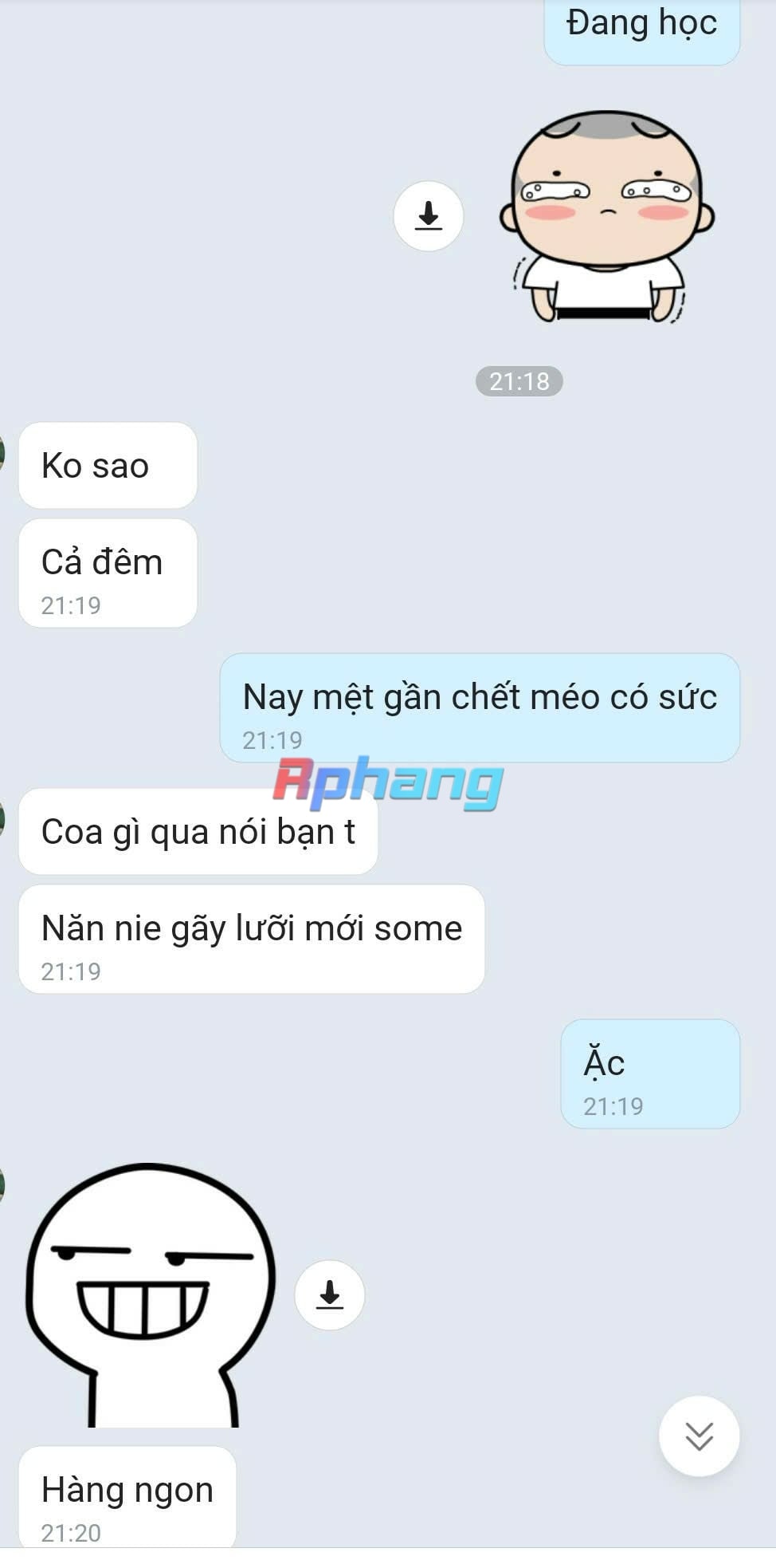 88573.jpg