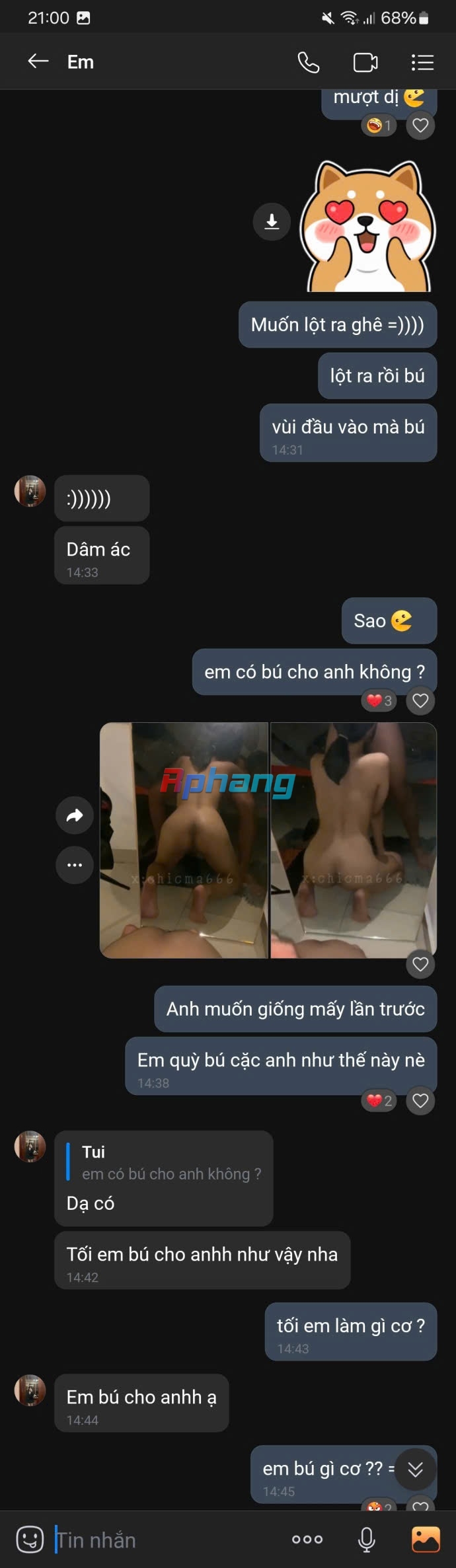 15.jpg
