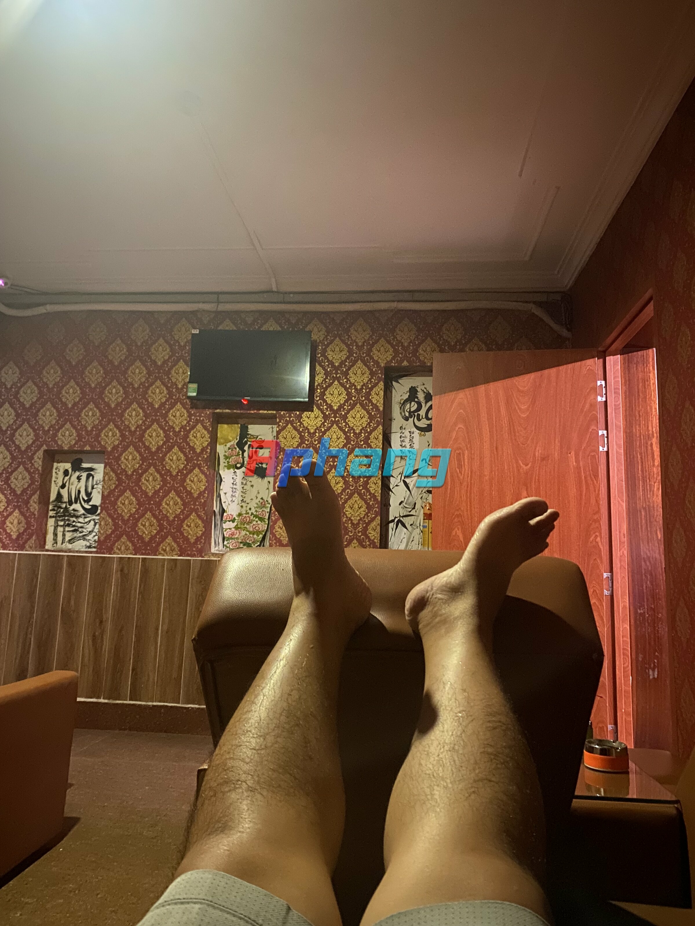 IMG_2868.jpeg