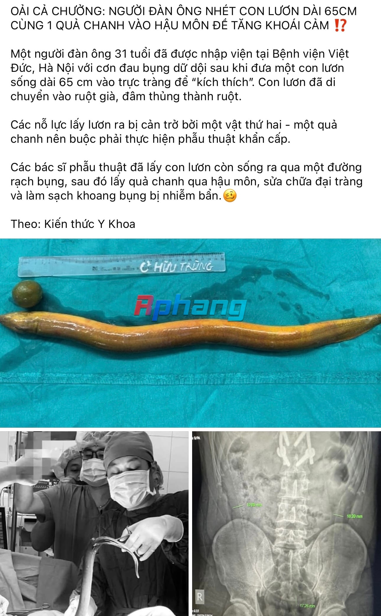 D650B6DF-88FB-4519-AE6E-C1BF8F84517C.jpeg