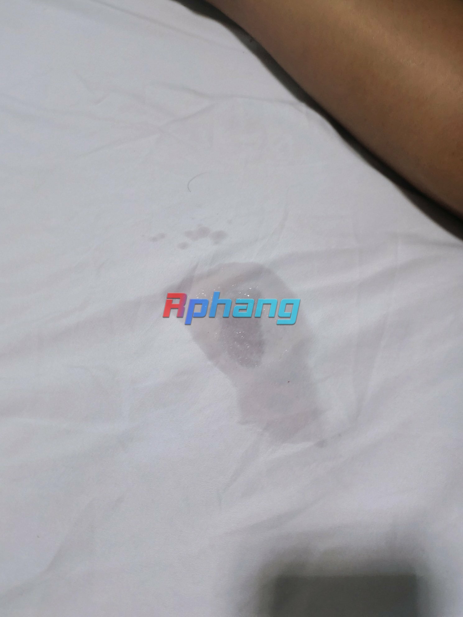 IMG_0523.jpeg
