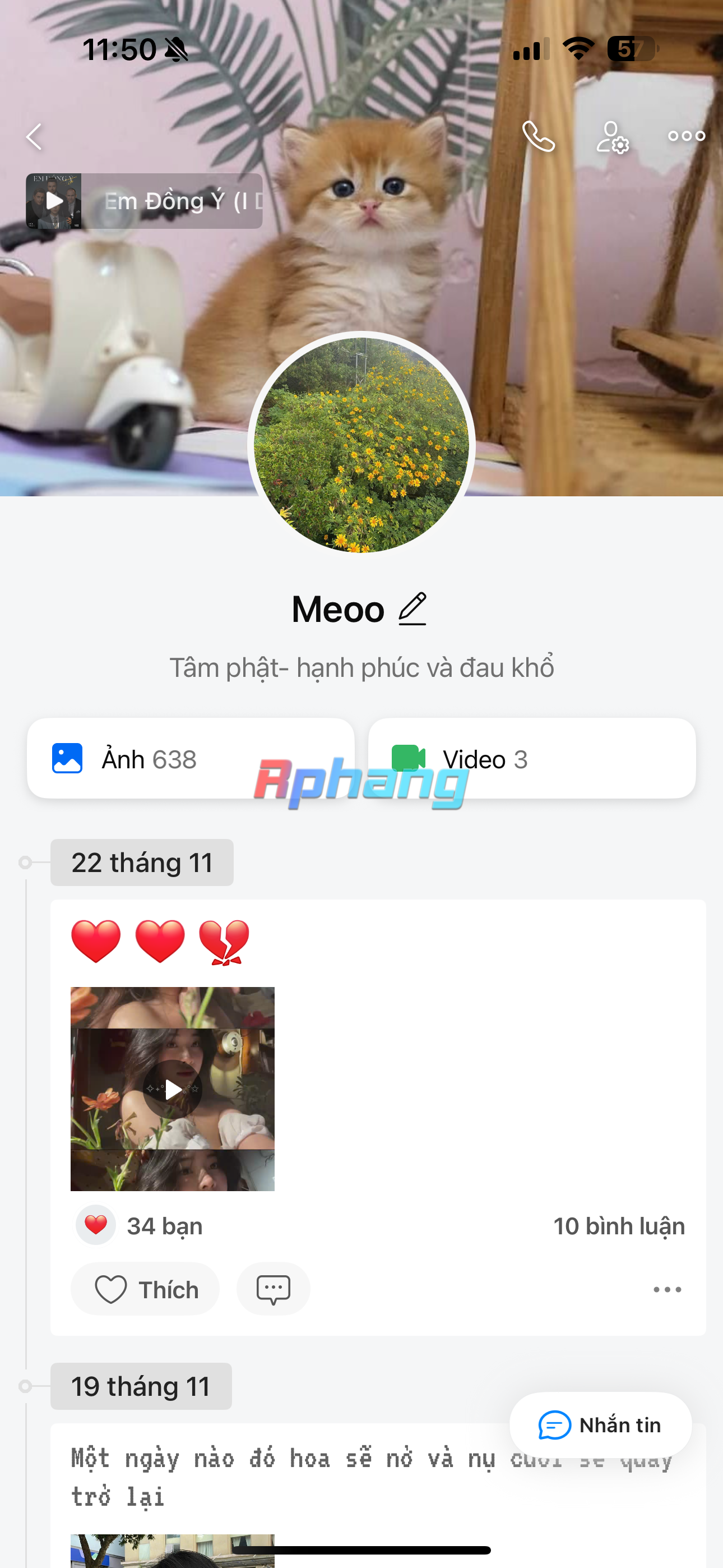 IMG_3501.png