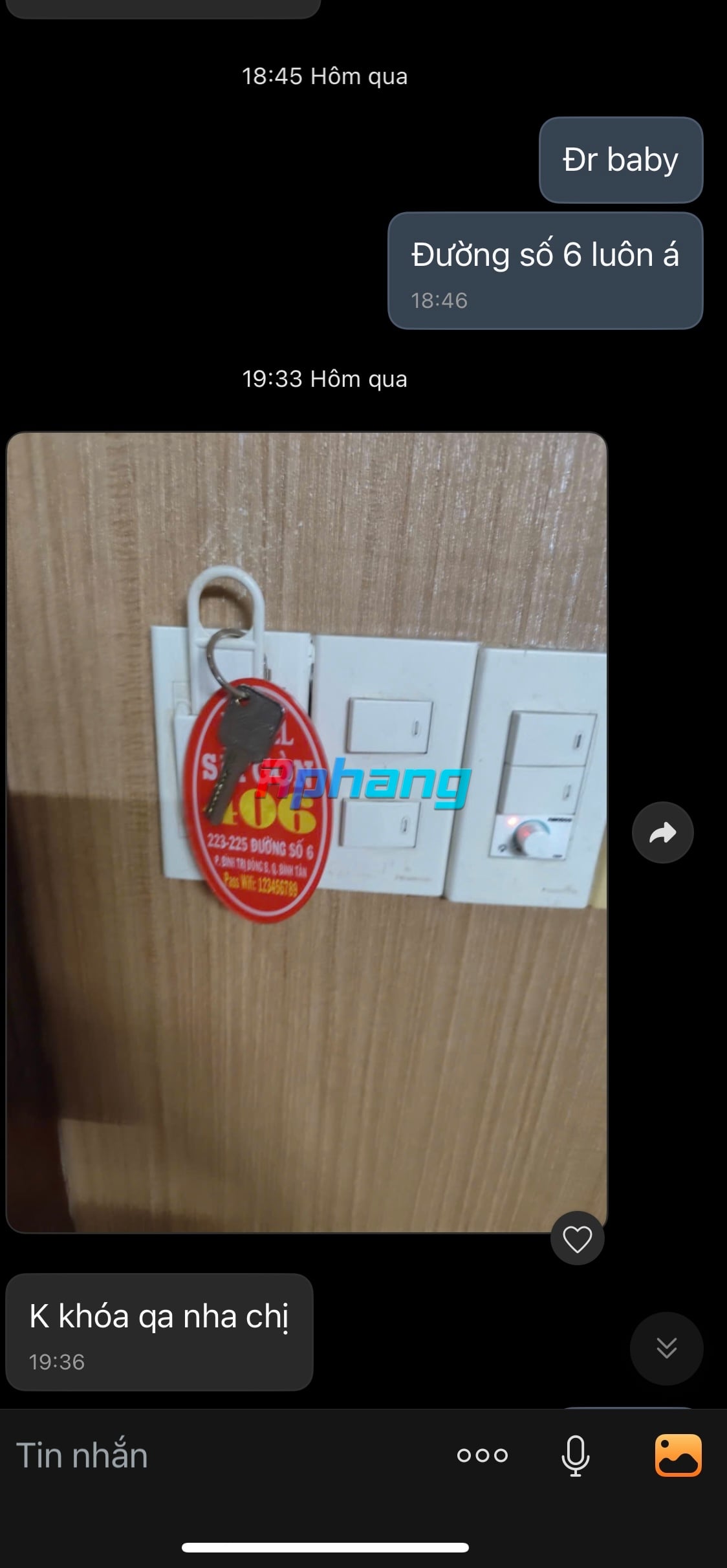 IMG_5362.jpeg