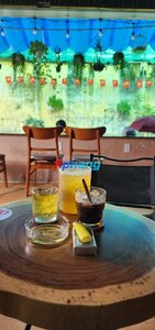 IMG_1237.jpeg