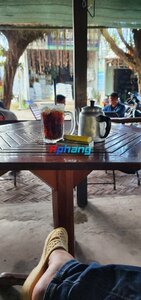 IMG_1264.jpeg