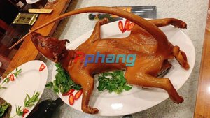 IMG_1276.jpeg