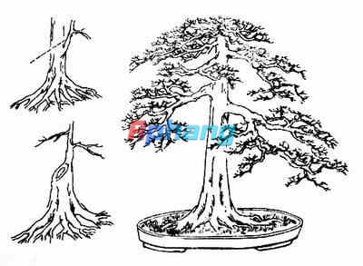 d9686ebb3aed3fd107d8e0be1fade6e1.jpg