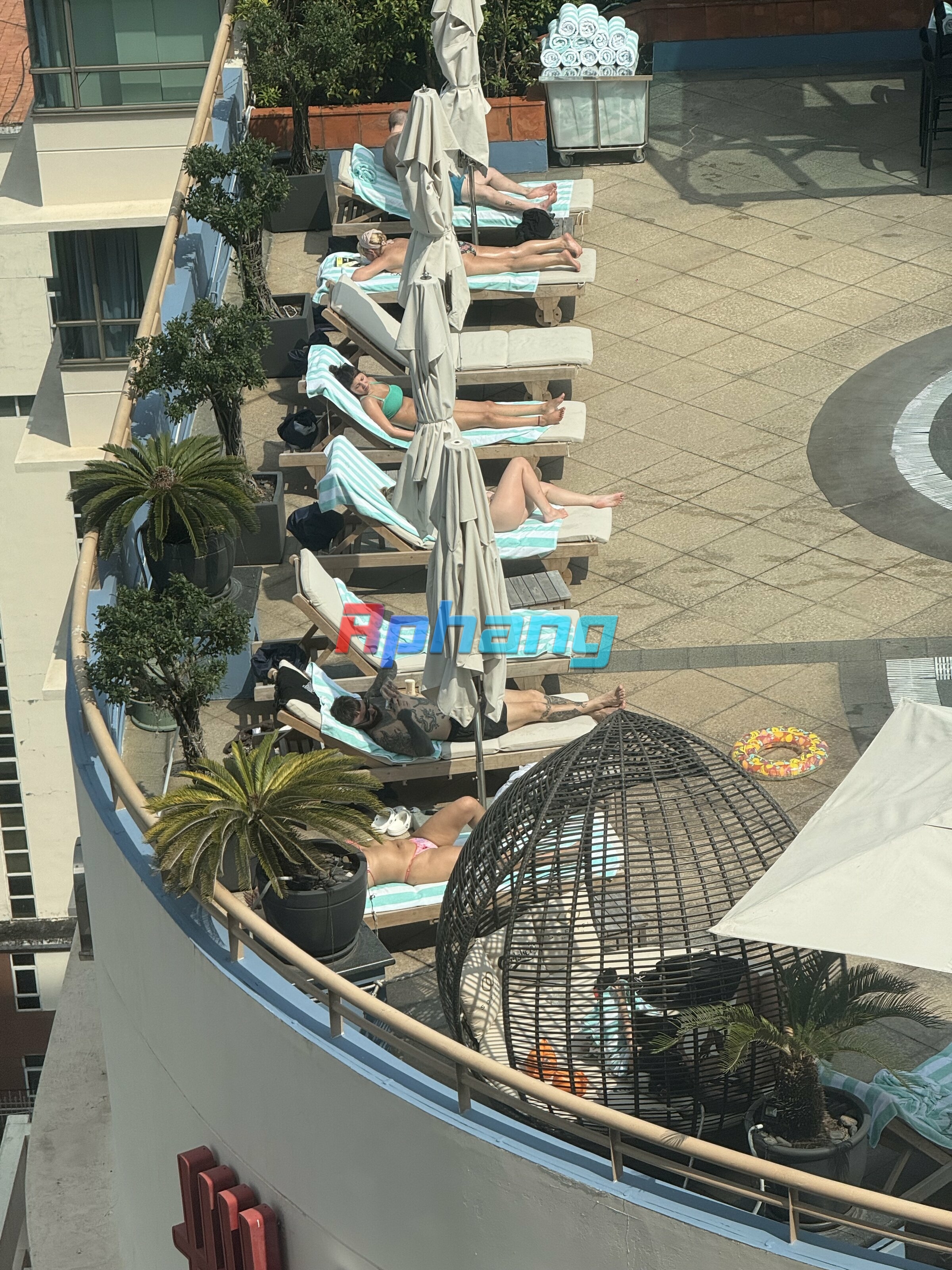 IMG_8982.jpeg