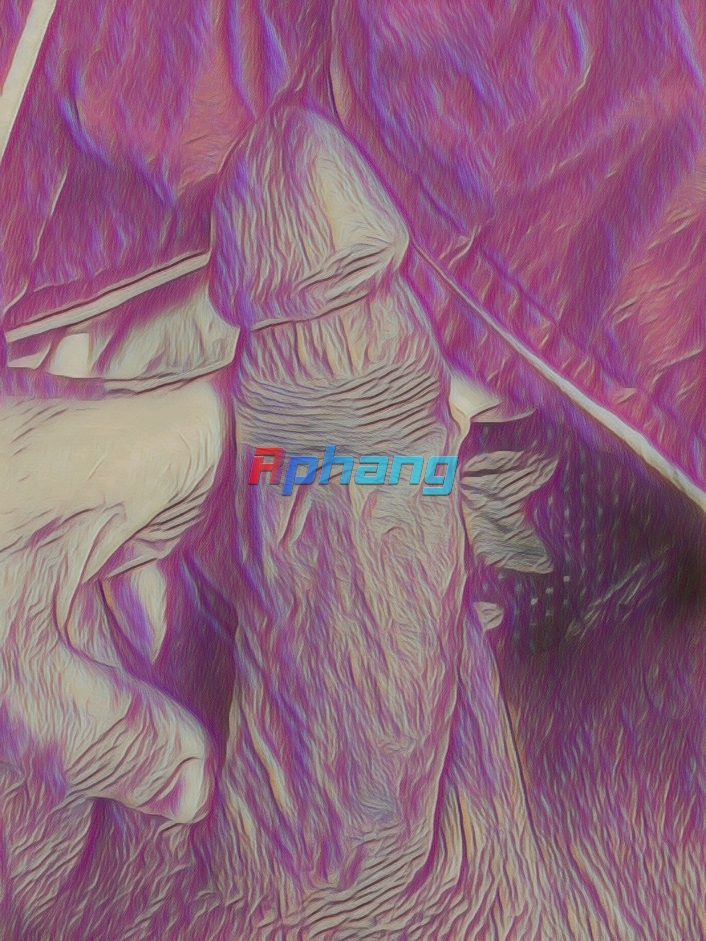 6134.jpg