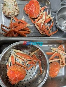 IMG_1379.jpeg