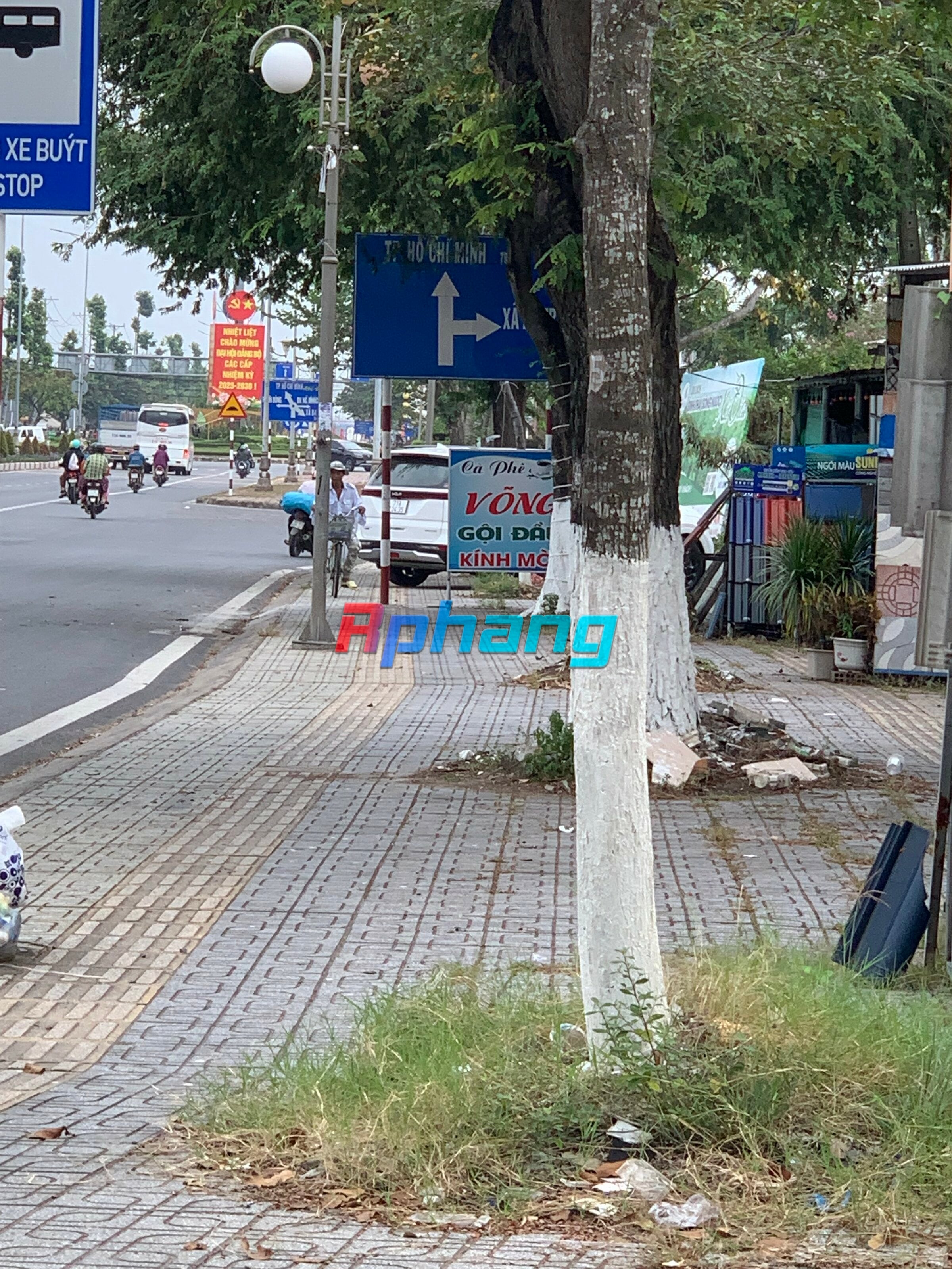 IMG_2293.jpeg