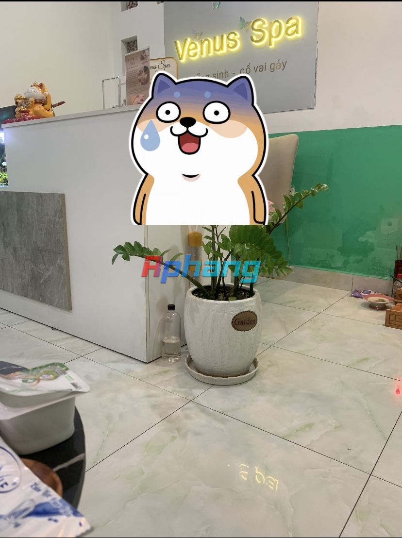 D6ED9A66-21C6-43CC-A3CA-3B9656773DCF.jpeg