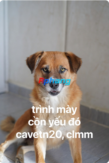 1769614555427.png